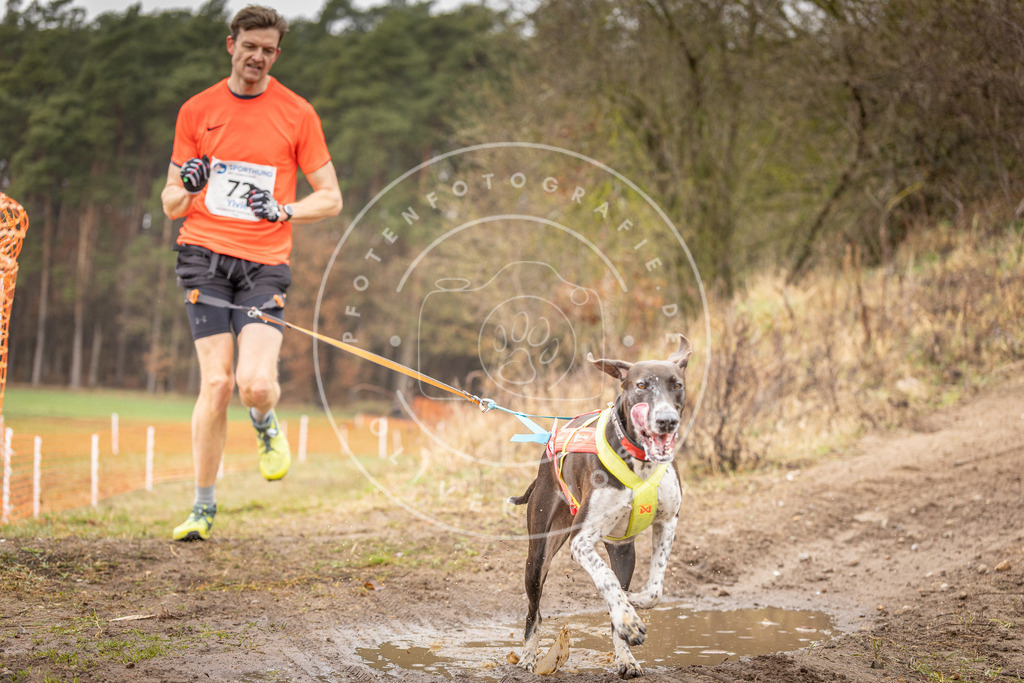 DV3A0212 | Hundefotografie, Tierfotograf, Pfotenfotografie, Fotoshooting Hund, Hunde Portrait, Hundesport, Hundeportraits, Heideshooting, Hunde, Sportfotograf, Hundefotograf, Turnierhundsport, THS,  - Realisiert mit Pictrs.com