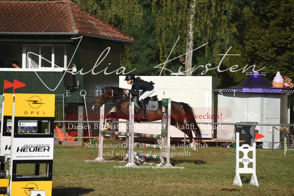 DSC_4943 | Pferde- und Turnierfotografie in Westsachsen. Pferdeportraits, Auftragszeichnungen und intuitive Kunst.