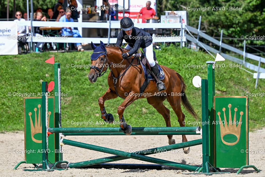 ASVÖ_ Reiten Bezirksmeisterschaft_ 24.08.2025-117 | 24.08.2025, AUT, ASVÖ, Reiten Bezirksmeisterschaft 2025Dressur und Springreiten©fodo.media / Harald Dostal - Realisiert mit Pictrs.com