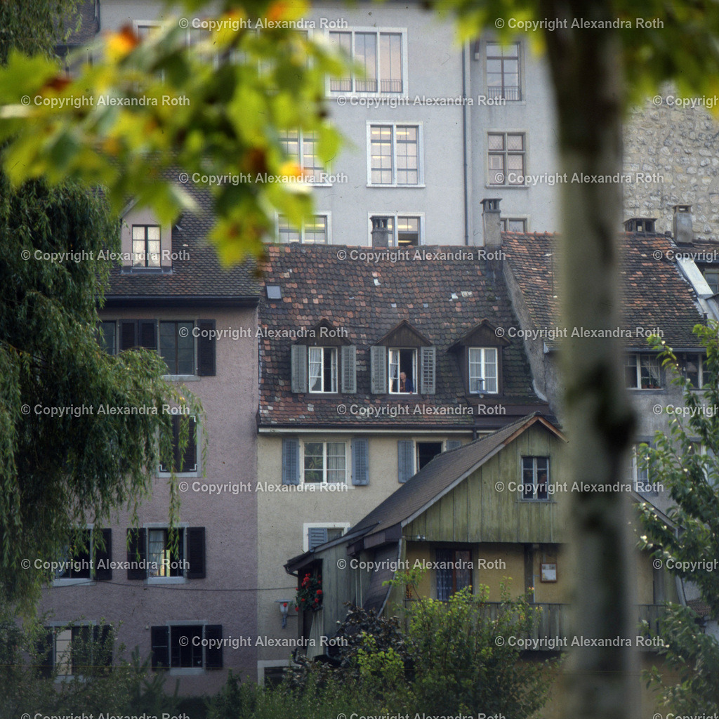 Aarau_0959 | onlineshop - Realisiert mit Pictrs.com