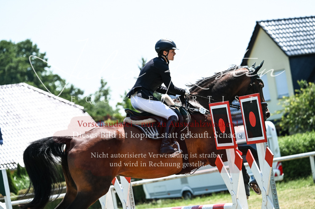 DSC_0157 | Pferde- und Turnierfotografie in Westsachsen. Pferdeportraits, Auftragszeichnungen und intuitive Kunst.