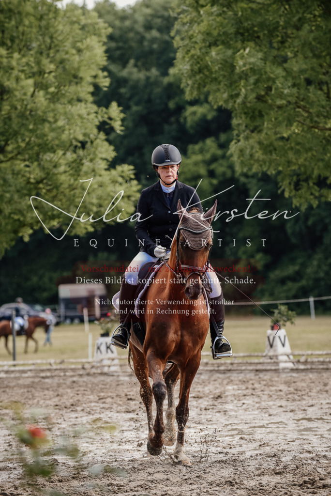 DSC_9252 | Pferde- und Turnierfotografie in Westsachsen. Pferdeportraits, Auftragszeichnungen und intuitive Kunst.