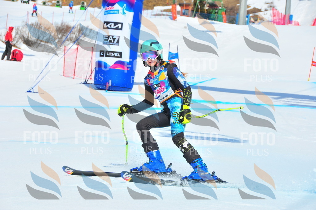 DSC_5064 | holidayphoto