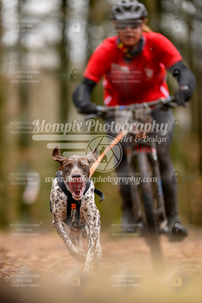 MompixPhotography_Habay2024_SA_Bike-50 | PayLife