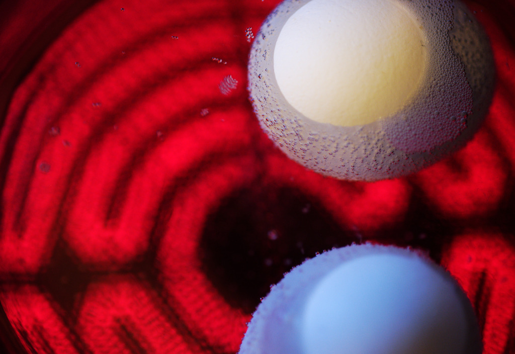 Glaspfanne mit zwei Eier auf dem Herd | Austria - April 01, 2013: Glaspfanne mit zwei Eier auf dem Herd. - Realisiert mit Pictrs.com