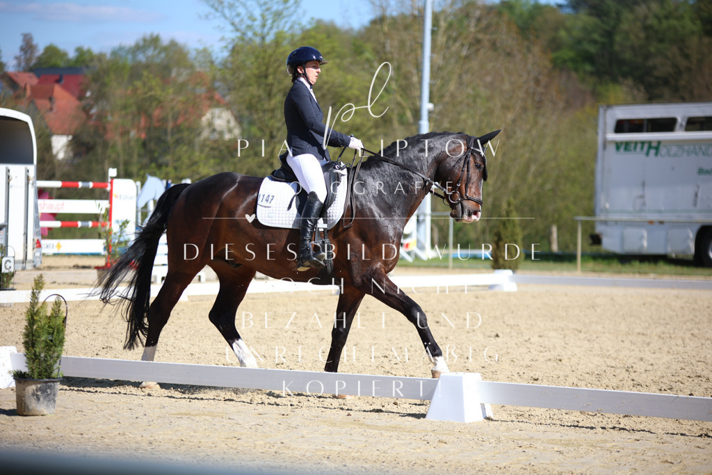 IMGT8413 | pl-fotografie