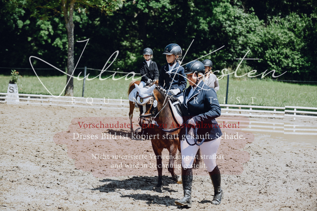 DSC_2157 | Pferde- und Turnierfotografie in Westsachsen. Pferdeportraits, Auftragszeichnungen und intuitive Kunst.