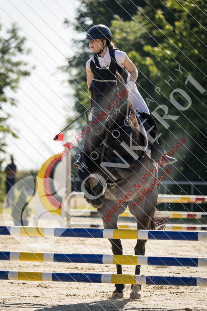 IMG_2606 | Sport-, Event- und Tierfotos in Profiqualität. Einfach auswählen, bestellen und herunterladen. Dein Moment – perfekt festgehalten.