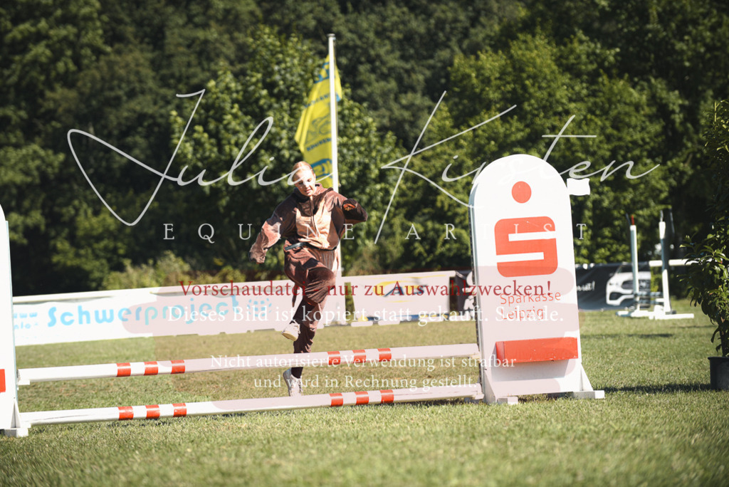DSC_7386 | Pferde- und Turnierfotografie in Westsachsen. Pferdeportraits, Auftragszeichnungen und intuitive Kunst.