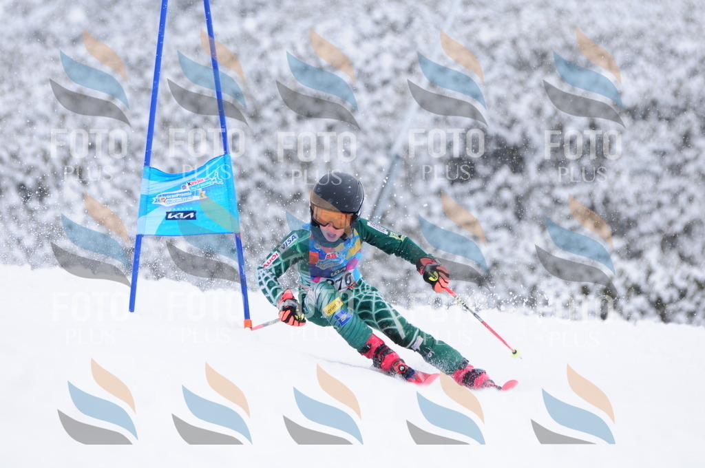 C4007 | holidayphoto