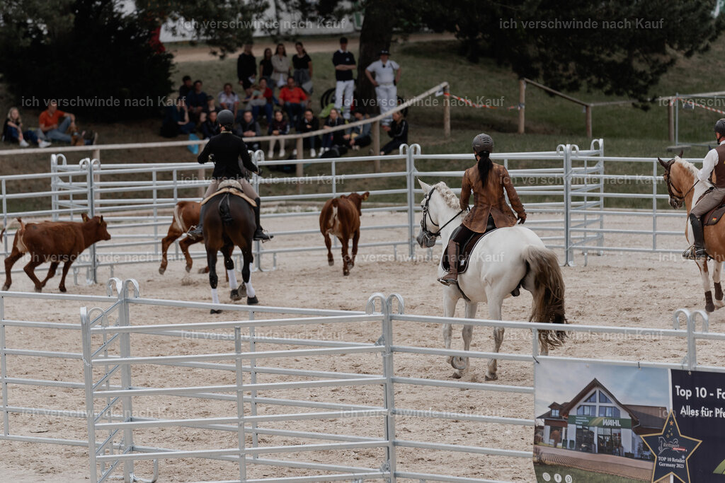 WE__Stoib_Rinder_PI2025_3132 | Pferd International München 2025