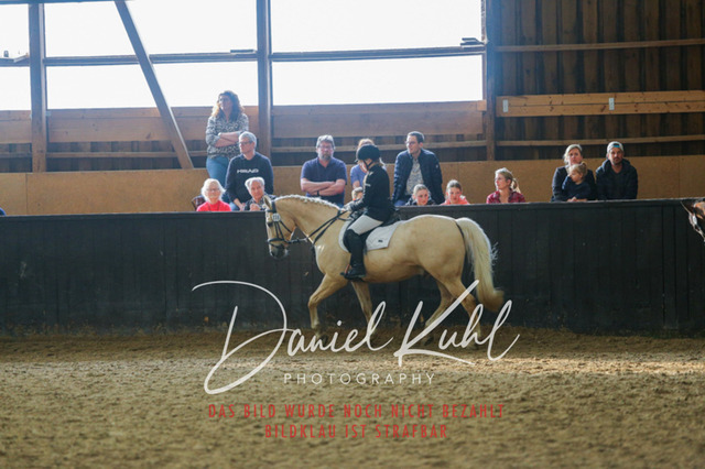 IMG_1518 | Turniersportfotografie; Pferdefotografie; Dressurfotografie