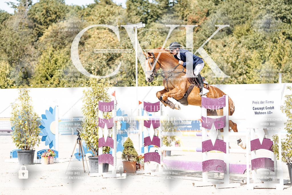 CK904806 | Turnierfotografie Pferdefotografie Trier Rheinland-Pfalz Pferdesport Reitsport Tierfotografie Sportfotografie Pferdevideo Pferdevideografie Equestrianvideography equestrianphotography  - Realisiert mit Pictrs.com