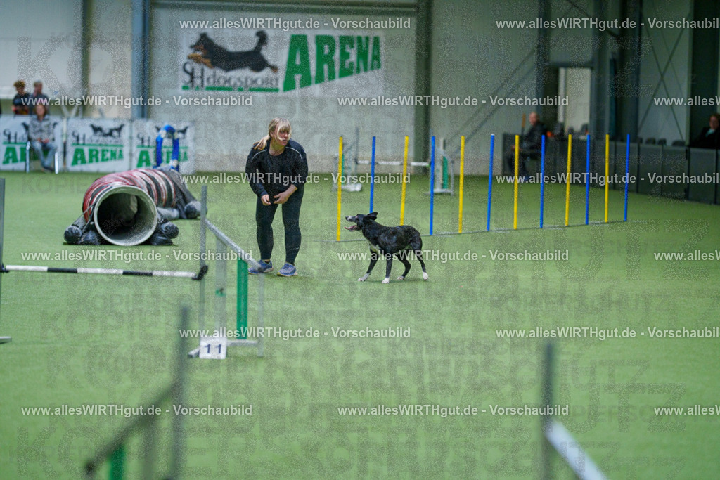 @allesWIRTHgut_Tierfotografie - www.allesWIRTHgut.de - 2604250813-7R505850 | Professionelle Tierfotografie in Mönchengladbach von Daniel Wirth (allesWIRTHgut). Liebevolle & natürliche Bilder von Hunden & Katzen für unvergessliche Erinnerungen.