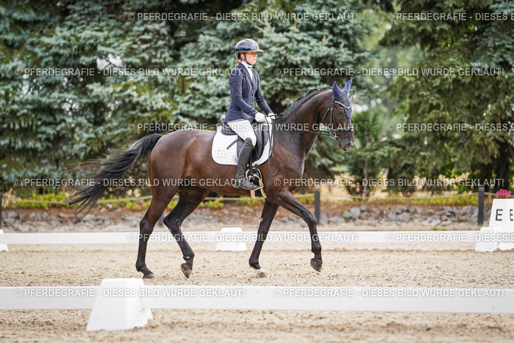 DSC01811 | Pferdegrafie