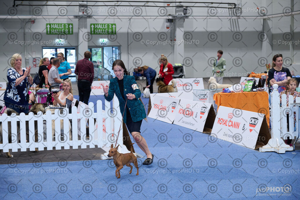 202406_ÖKV-IHA-Tulln24_NZ9_9596 | proPHOTO - Realisiert mit Pictrs.com