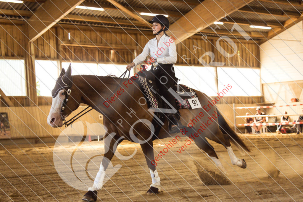 IMG_4982 | Sport-, Event- und Tierfotos in Profiqualität. Einfach auswählen, bestellen und herunterladen. Dein Moment – perfekt festgehalten.