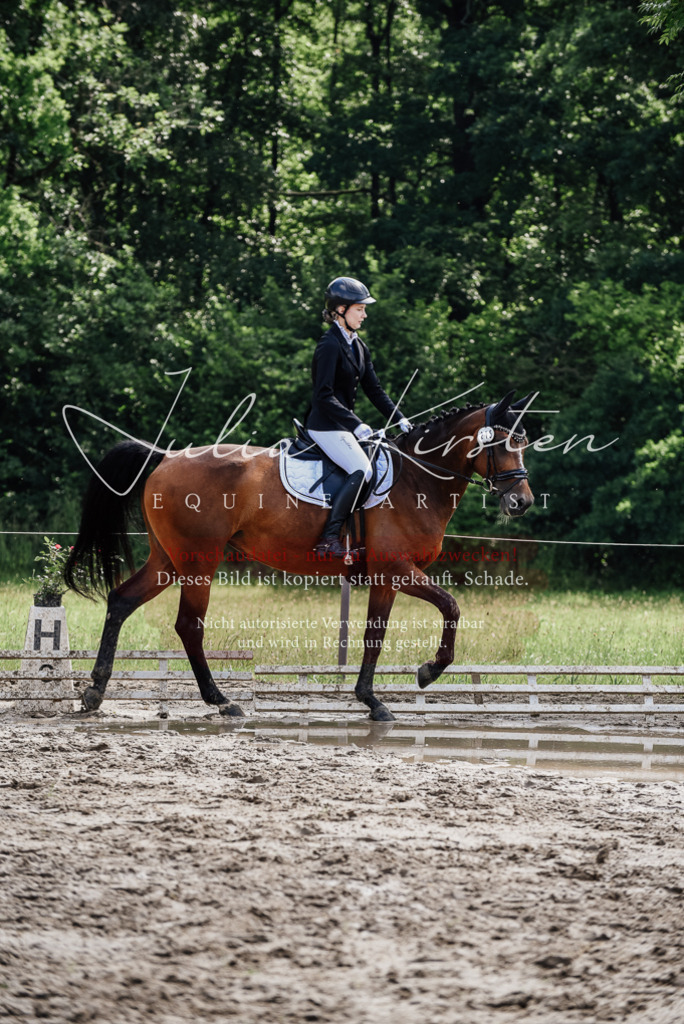 DSC_0422 | Pferde- und Turnierfotografie in Westsachsen. Pferdeportraits, Auftragszeichnungen und intuitive Kunst.