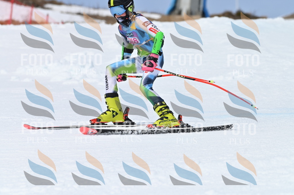 BGV_4005 | holidayphoto