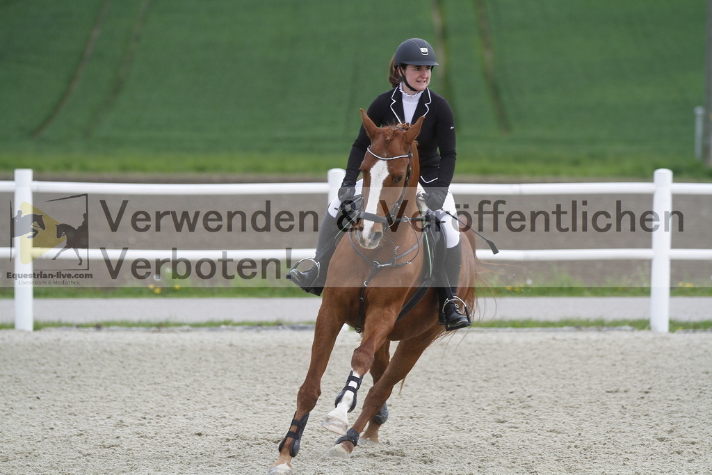 _MG_1669 | equestrian-live-com