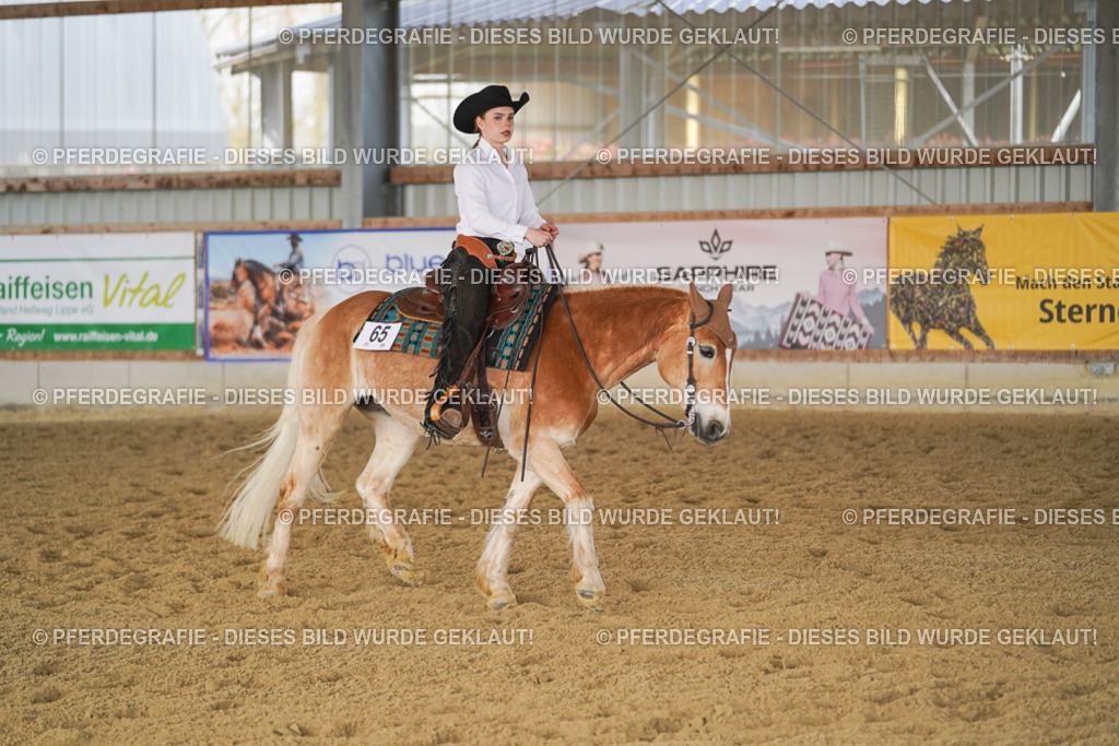 DSC01198 | Pferdegrafie