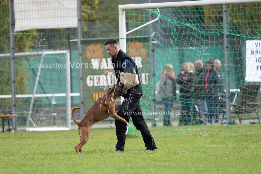 _16A7055 | Einzigartige Fotos von Hunden & Menschen –Actionfotos, Portraits, Vereinsaufnahmen & Paarshootings – authentisch, lebendig & mit Herz.