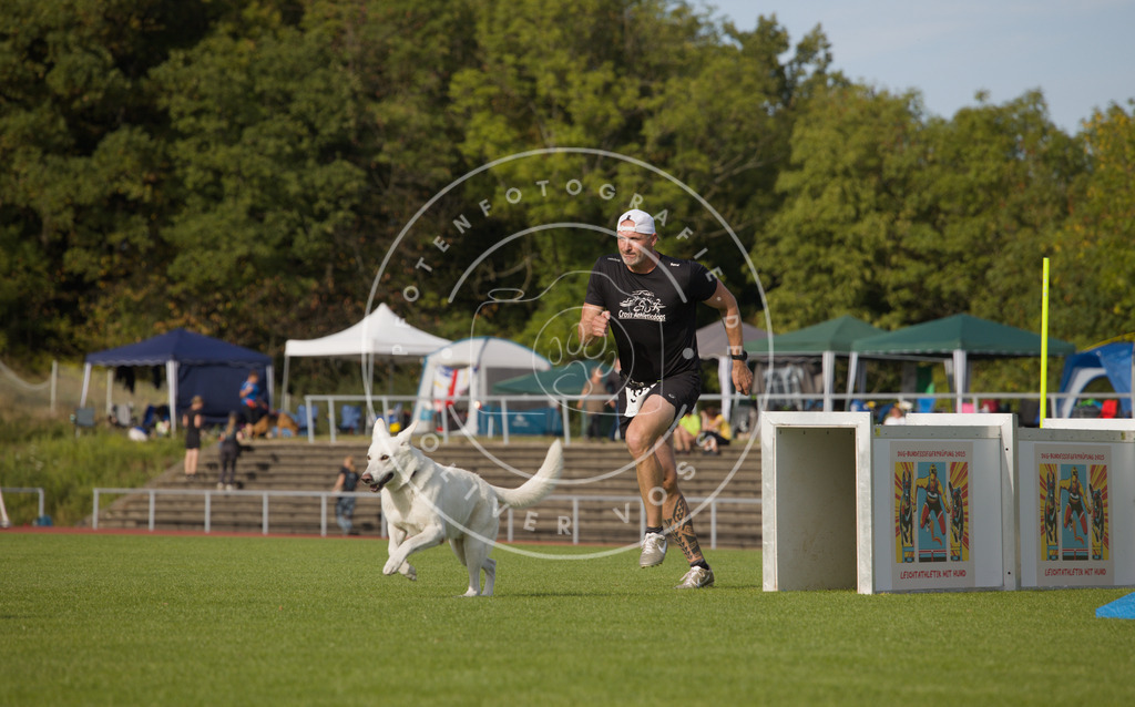 0L8A3977 | Hundefotografie, Tierfotograf, Pfotenfotografie, Fotoshooting Hund, Hunde Portrait, Hundesport, Hundeportraits, Heideshooting, Hunde, Sportfotograf, Hundefotograf, Turnierhundsport, THS,  - Realisiert mit Pictrs.com