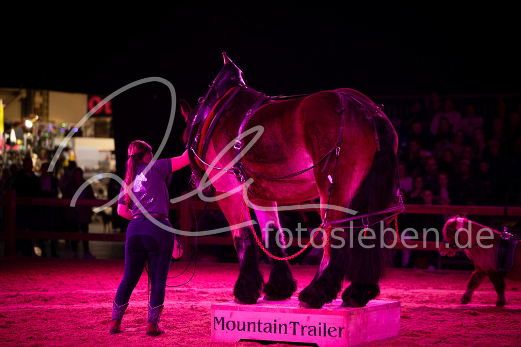 846A6337 | fotosleben - Realisiert mit Pictrs.com