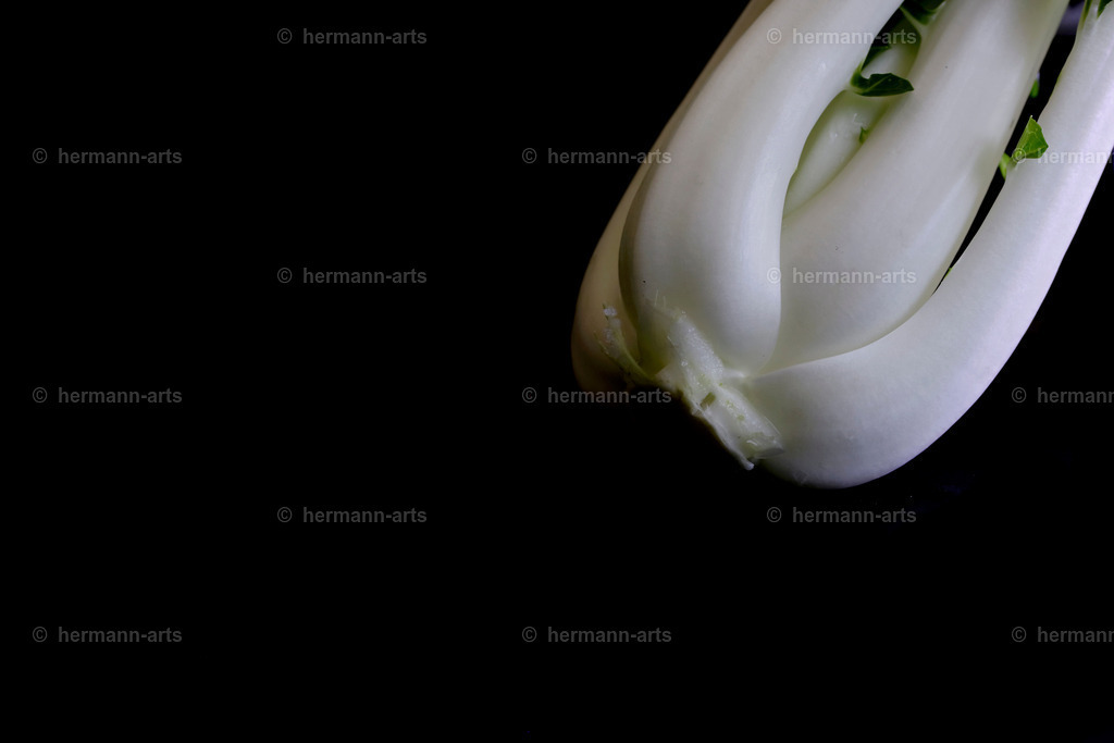 Fruits-Art-030 | Photo Foto Kunst Art schwarzweiss Bilder Rheine Münster Berlin Blumen 