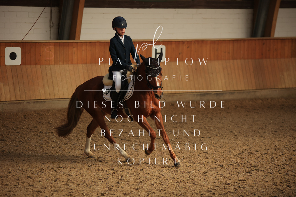 IMGT5155 | pl-fotografie