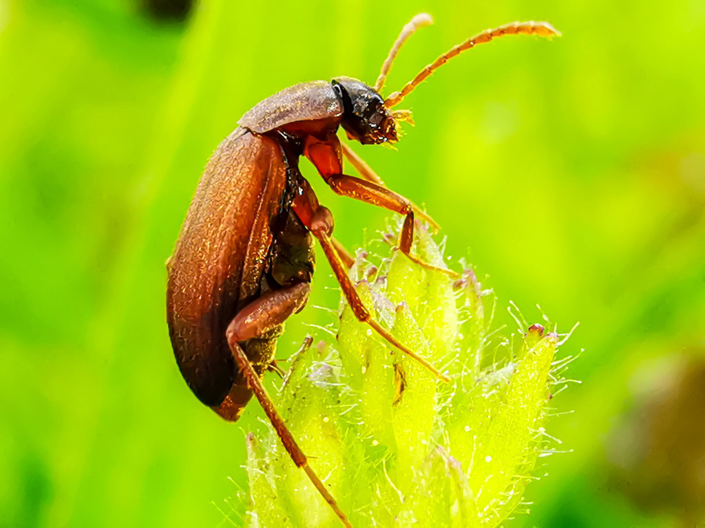 PSX_20240501_220238 | mtkfoto_ - Realisiert mit Pictrs.com