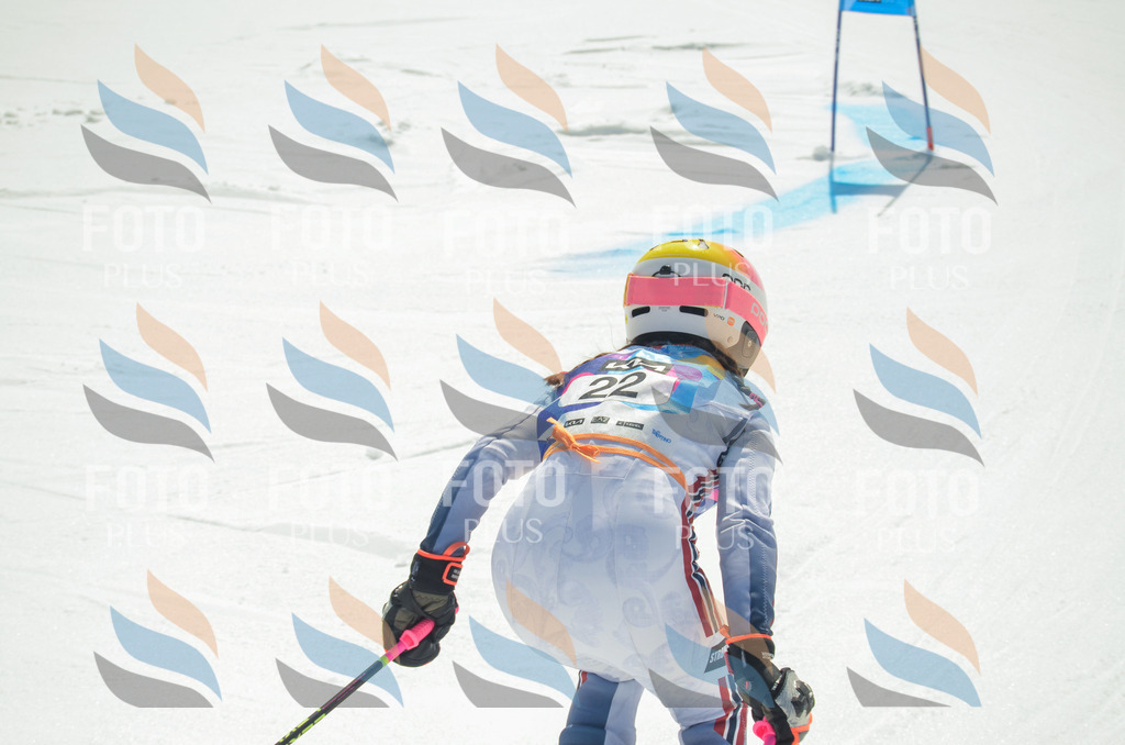 _ELE4759 | holidayphoto