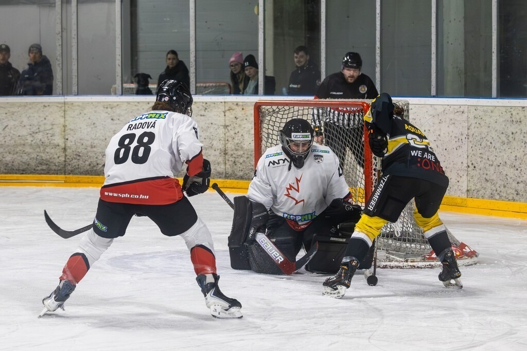 Mad Dogs Mannheim vs. HK Budapest (Mannheim, Germany) | Mannheim, Germany, 26/10/26) blossom-ic DFEL - GERMAN WOMEN'S ICE HOCKEY LEAGUE, 2026–27 Season, Matchday 10: Mad Dogs Mannheim vs. HK Budapest / Kylie Aquaro (23, Mannheim) had a good scoring chance, but Zsofia Toth (20, Budapest) was able to prevent a goal - Realisiert mit Pictrs.com