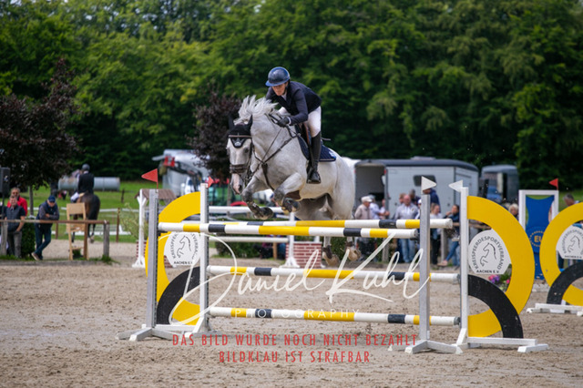 IMG_5806 | Turniersportfotografie; Pferdefotografie; Dressurfotografie