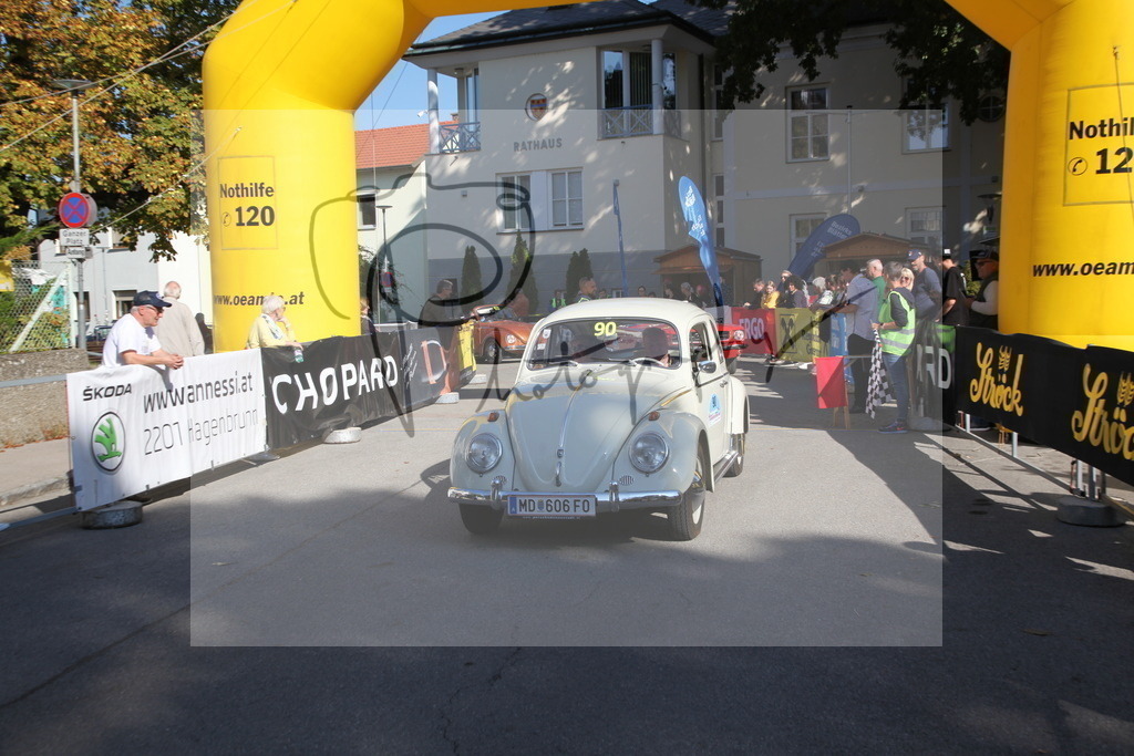 IMG_4503 | Gerhard Witt