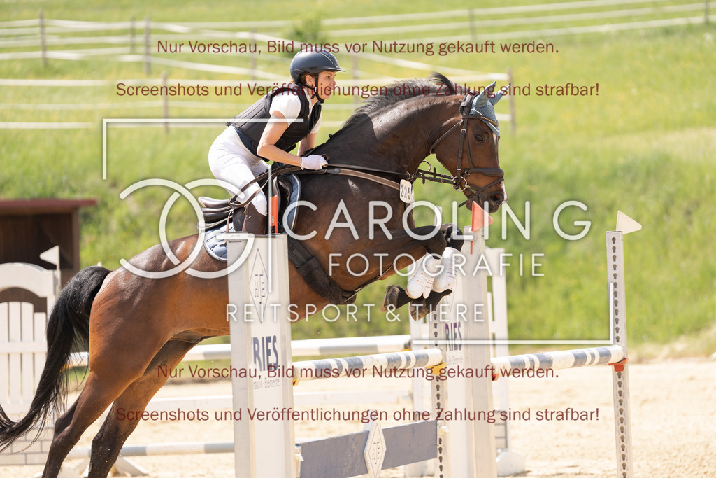 DSC06553 | Springturnier_Ehingen_Mai_2026, Maike_Schemberg, Anjo_33