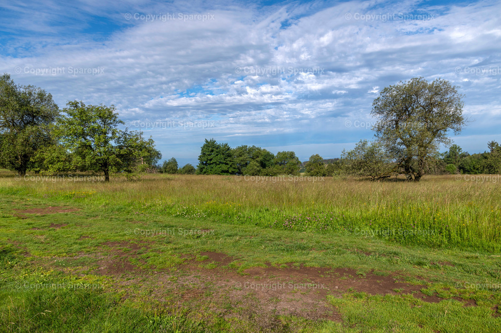 LOC_Trail_Summer_Hills7 | sparepix - Realisiert mit Pictrs.com