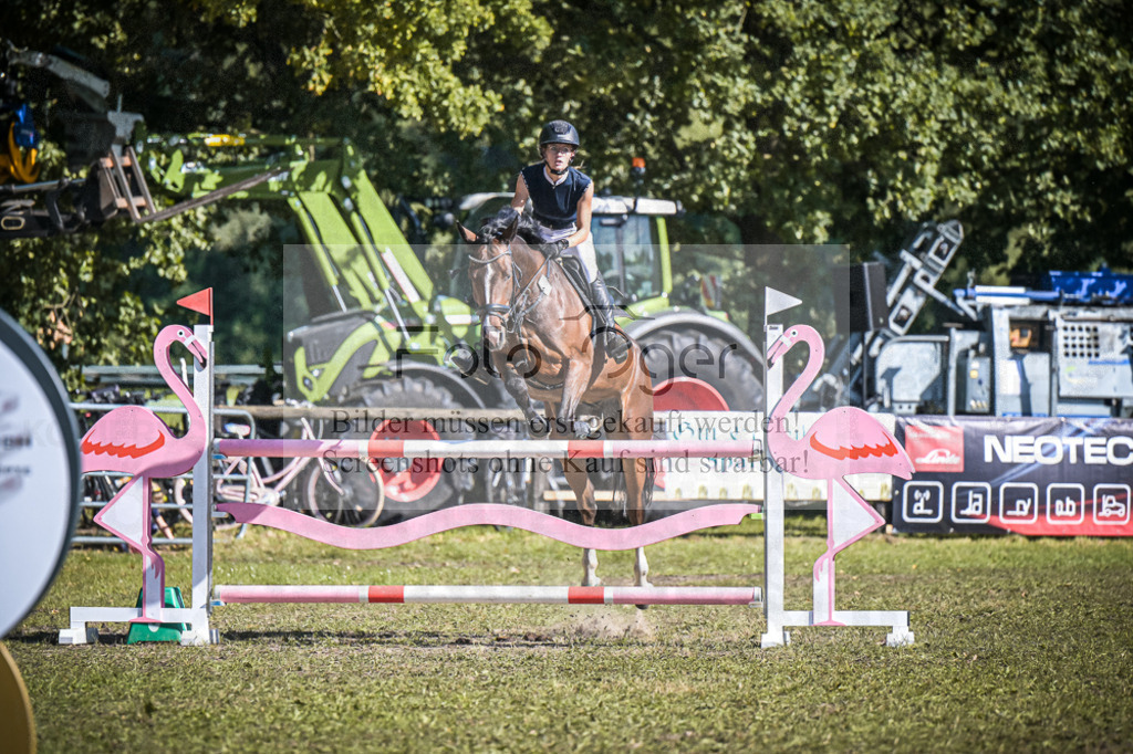 DOS_0242 | Entdecke hochwertige Reitturnierfotos von Foto Oger. Professionell, emotional und authentisch – jetzt Lieblingsmomente im Shop bestellen.Deutschlandweite Turnierfotografie. - Realisiert mit Pictrs.com