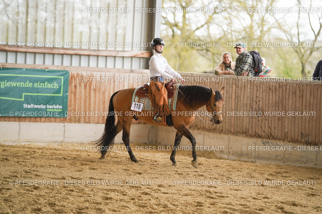 DSC09151 | Pferdegrafie