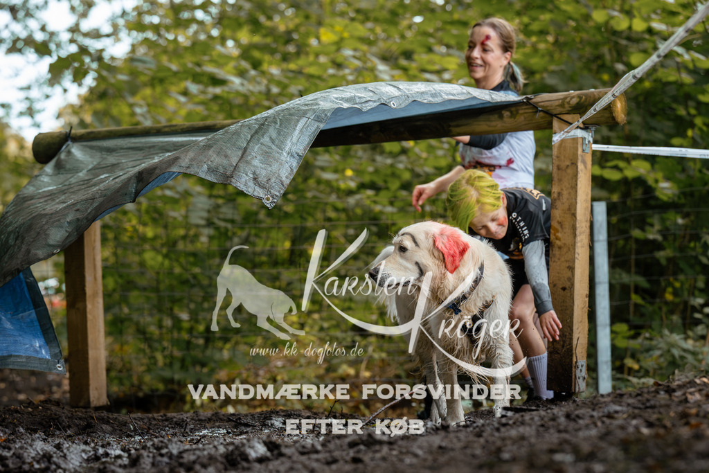 1424DZ6_1830Z6 | kk-dogfotos