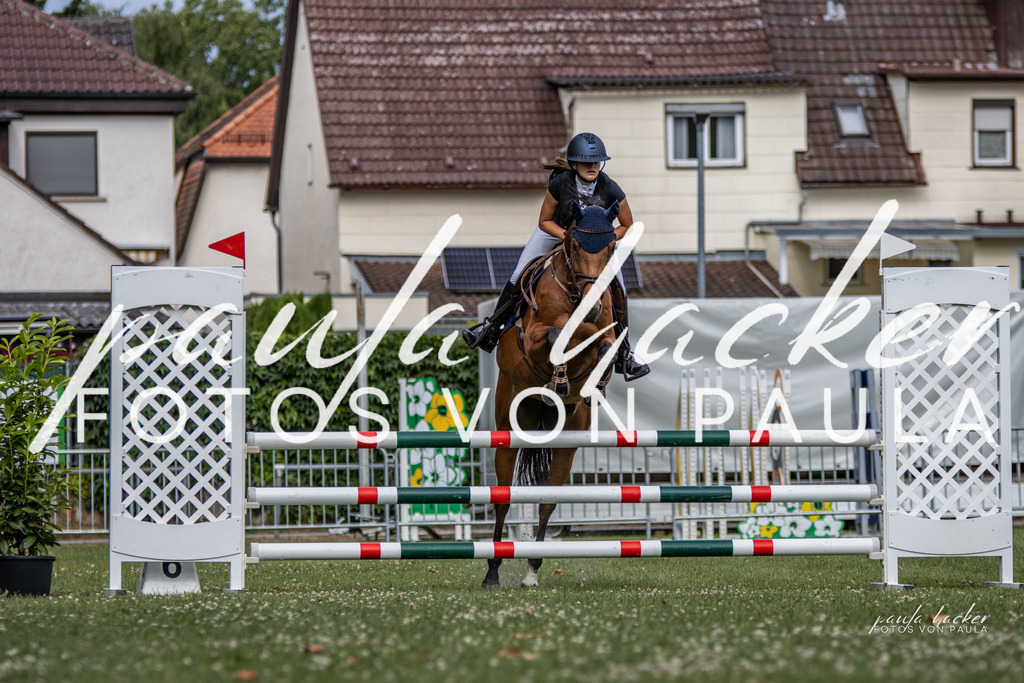 IMG_7598 | Erleben Sie dynamische Sport- und emotionale Tierfotografie in Süddeutschland mit Fotos von Paula. Spezialisiert auf Pferde- und Hundefotografie sowie Sportevents. Kontaktieren Sie mich für einzigartige und ausdrucksstarke Bilder Ihrer besonderen Momente.