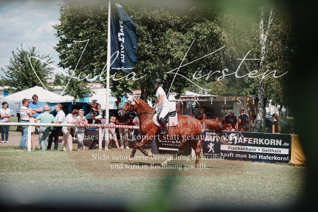 DSC_5762 | Pferde- und Turnierfotografie in Westsachsen. Pferdeportraits, Auftragszeichnungen und intuitive Kunst.