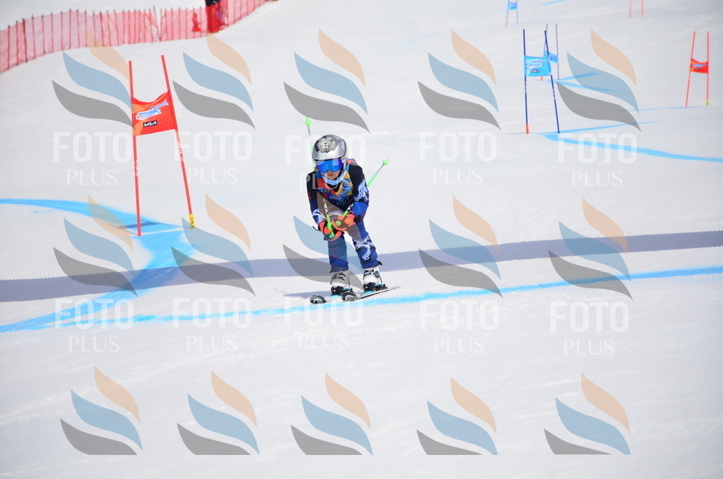 VR4_7101 | holidayphoto