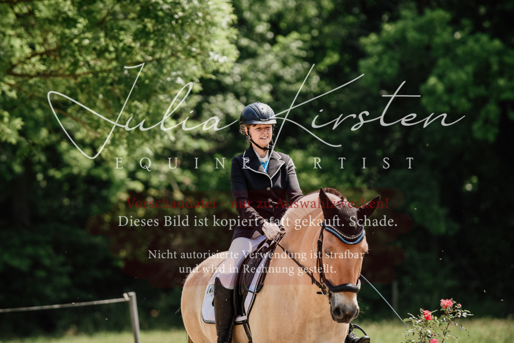 DSC_1655 | Pferde- und Turnierfotografie in Westsachsen. Pferdeportraits, Auftragszeichnungen und intuitive Kunst.