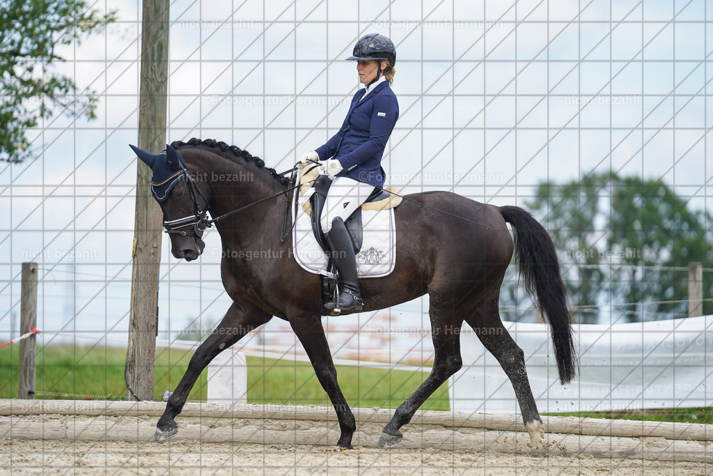 20230826-FAH05656 | Forstinning, 2023, Dressurturnier, Turniersportbilder, Turnierfotografen Bayern, Fotoagentur Herrmann, Reitsportfotografie, Turnierbilder