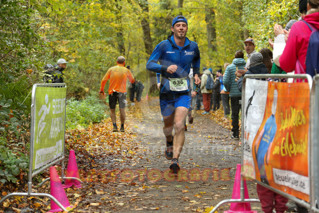 251026_1237_EX1_0831 | Sportfotografie im Rhein-Sieg Kreis, Köln, Bonn, NRW, Rheinland Pfalz, Hessen, etc. Unser Tätigkeitsfeld umfasst den Laufsport vom Volkslauf über den Marathon, Duathlon, Triathon bis zum Ultralauf wie Kölnpfad Ultra oder Schindertrail.