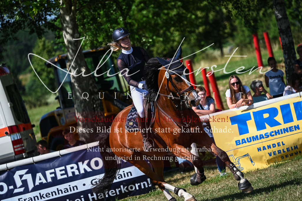 DSC_1606 | Pferde- und Turnierfotografie in Westsachsen. Pferdeportraits, Auftragszeichnungen und intuitive Kunst.