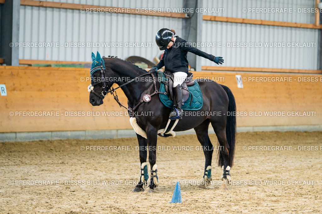 DSC00493 | Pferdegrafie