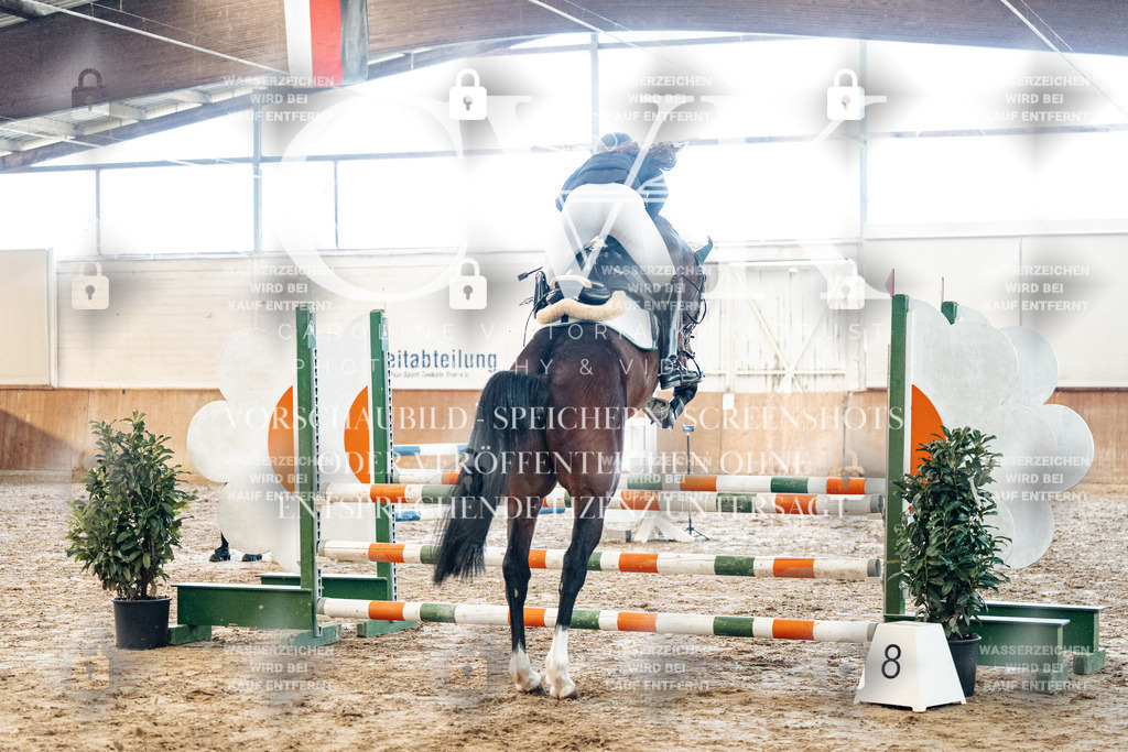 CK904320 | Turnierfotografie Pferdefotografie Trier Rheinland-Pfalz Pferdesport Reitsport Tierfotografie Sportfotografie Pferdevideo Pferdevideografie Equestrianvideography equestrianphotography  - Realized with Pictrs.com