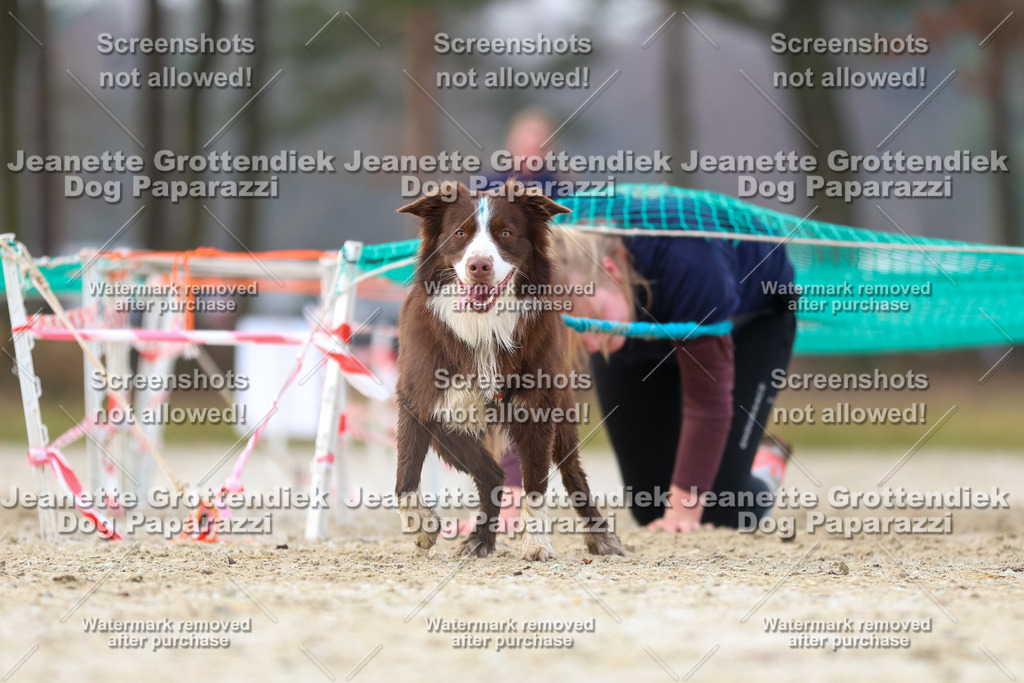 Dog Paparazzi - Strongdog North Mrz26-4005 | Dog Paparazzi Jeanette Grottendiek Fotografie & Videografie - Realisiert mit Pictrs.com